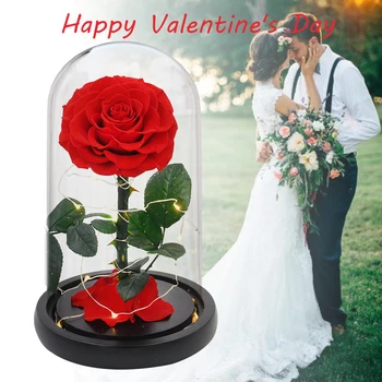Večno Rose-Steklena Kupola LED Nosilec Svetlobna Čarobno Obletnico Večni Cvet Črni Darilni Škatli Baterija Napaja Ljubezen Romantiko Darilo